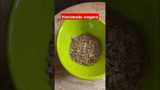 Pizza seasoning oregano homemadeoregano oreganorecipe pizzalover oregano trending viralshorts [upl. by Aracaj]