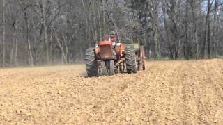 AllisChalmers D17 sowing oats [upl. by Celestyna]