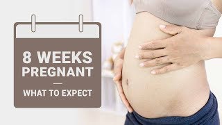 8 Week Pregnant  What to Expect [upl. by Aynat844]