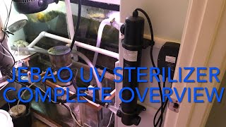 UV sterilizer JEBAO complete overview from what they do install with helpful tipsamp mistakes I made [upl. by Treacy]