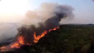 El incendio en As Gándaras a vista de dron [upl. by Cressler]