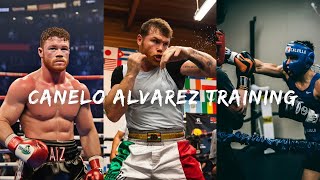 Canelo Alvarez training routine is insane [upl. by Ellenrad605]