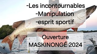 Début saison maskinongé 2024  Les incontournables du guide et lesprit sportif de la pêche [upl. by Ahsata201]