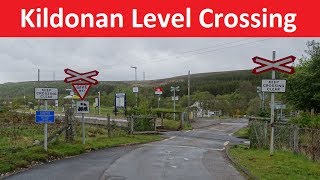 Kildonan Level Crossing  Far North Line  Kildonan Highland [upl. by Herta]