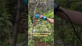 SC8612T Professional 45mm Big Cutting Diameter Battery Power Tree Pruner Electric Pruning Shear [upl. by Isador38]