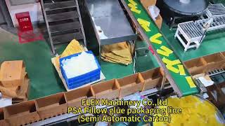 FLEX Machinery Coltd Hot Melt glue Pillow glue packaging lineSemiAutomatic Carton [upl. by Htbazile]