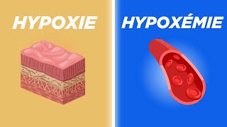 Hypoxie vs Hypoxémie Expliqué Simplement [upl. by Otecina]