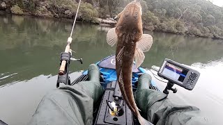 Kayak Fishing  Woronora  Georges River Fishing  Kayaking  Soft Plastics [upl. by Airtap486]