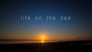 life on the dee  Wildlife Documentary [upl. by Aknahs]