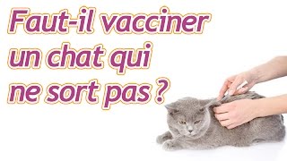 Fautil vacciner un chat qui ne sort pas [upl. by Hosbein328]