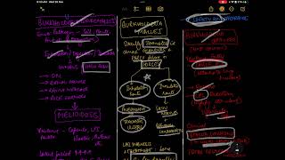 BURKHOLDERIA  RESPIRATORY SYSTEM  MICROBIOLOGY [upl. by Crespo]