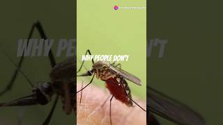 10 Reasons Why People Hate Mosquitoes [upl. by Nilesoj]