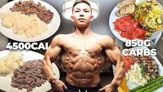 FULL DAY OF EATING 4452 Calories 850g Carbs  Tristyn Lee Mock Peak [upl. by Sibie]