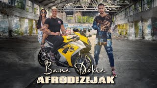 BANE ĐOKIĆ  AFRODIZIJAK OFFICIAL VIDEO [upl. by Keelia735]