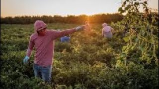 California Creará Viviendas Asequibles para los inmigrantes en el año 2025 [upl. by Hillary]