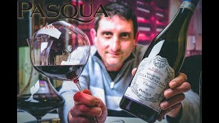 Pasqua Amarone della Valpolicella DOCG  Wine Reviews  Episode 28 [upl. by Benson]