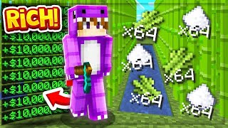 The BEST STARTER FARM on BEST Minecraft SKYBLOCK SERVER  Minecraft Skyblock PvPWars [upl. by Aneger]