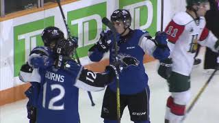 SAINT JOHN SEA DOGS VS HALIFAX MOOSEHEADS SEP 20TH 2019 [upl. by Sissy]