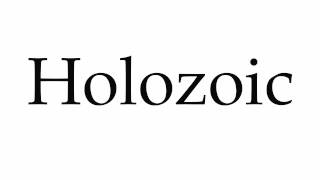 How to Pronounce Holozoic [upl. by Kat]