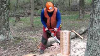 Kickback Demonstration by Chainsaw Instructor Joe Glenn [upl. by Maril248]