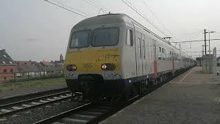 Vertrek MS80 op station Oudenaarde19082024 [upl. by Sadnac]