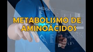 METABOLISMO DE AMINOÁCIDOS [upl. by Aliuqat]