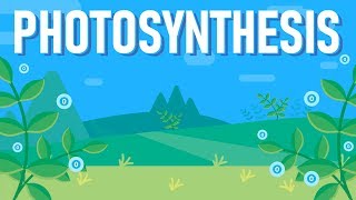 What is Photosynthesis [upl. by Rudiger]