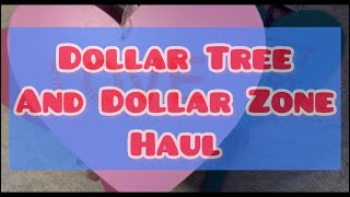 Dollar Tree and Dollar Zone haul [upl. by Gaultiero]