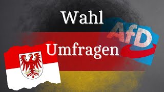 Brandenburg Wahl 2024  Die AfD nochmal vorne Prognosen [upl. by Euqinomod]