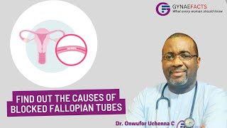 FALLOPIAN TUBE BLOCKAGE  Causes and Prevention Ep8 [upl. by Hoj]