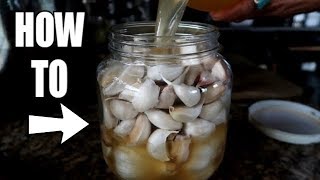 HOW TO PRESERVE GARLIC FOR YEARS ULTIMATE PREPPER TRICK [upl. by Ettenom321]