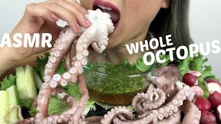 WHOLE OCTOPUS  ASMR NO TALKING EXTREME SAVAGE Eating Sounds  NE Lets Eat [upl. by Zosima226]