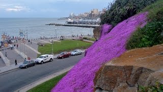 MAR DEL PLATA  ARGENTINA EN IMAGENES Musicalizado [upl. by Aknaib741]