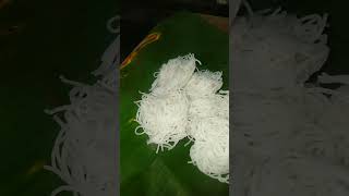 idiyappam recipe 😋 idiyappamrecipei idiyappamrecipe idiyappam idiyappamrecipeintamil [upl. by Charley]