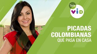 Picadas Colombianas 🏡 tema de hoy en Que Pasa en Casa  Tele VID [upl. by Viva]