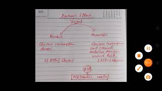 Pasteurs Effectcsirnet gatexl2023 [upl. by Noak818]