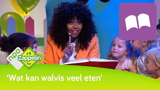 ETEN  Lezen met Fenna  NPO Zappelin [upl. by Orsola]