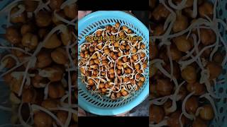 High protein sprouted black chana recipeproteinhealthyrecipesweightlossblackchanakadalasprout [upl. by Mahda]