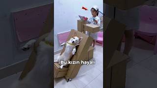 Köpeğine röntgen cihazı icat eden kız [upl. by Hurless]