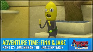 Adventure Time Finn amp Jake Investigations  Part 12 Lemongrab the Unacceptable [upl. by Marchese]