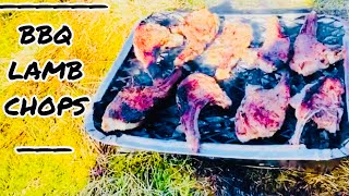 Quick bbq recipe lamb chops [upl. by Anafetse]