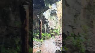 Lluvia dentro de una cueva debajo del bosque así se ve la captura de agua de los bosques🌳 [upl. by Shaer]