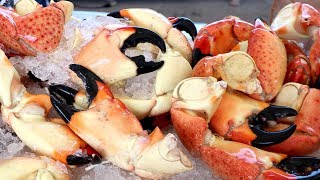 INSANE Seafood EXTRAVAGANZA at the SOUTH FLORIDA SEAFOOD FESTIVAL  Miami Florida [upl. by Tillman]