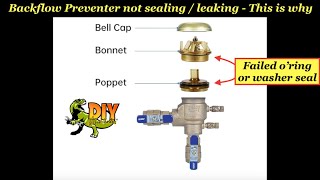 Backflow Preventer leaking not sealing  THIS IS WHY [upl. by Chabot]