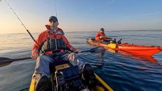 Lure Fishing for Cod and Pollack using Soft Plastics and Speed Jigs  Kayak Fishing UK  Sea Fishing [upl. by Chapen]