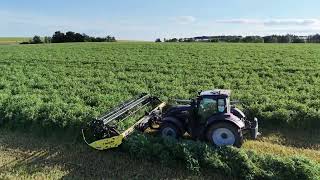 Swathing Arable Silage [upl. by Ametaf]