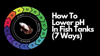 How to Lower pH Levels in Aquariums EASY METHOD [upl. by Alexandro]