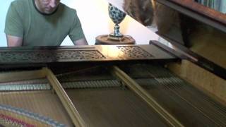 Chopin  Barcarolle Op60 played by Olivier Mallory on Erard concert grand piano 1880 [upl. by Winny792]