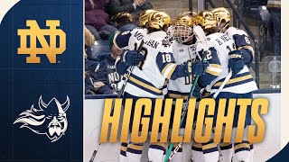 Knuble Hat Trick Fuels Irish Win  Highlights vs Augustana  Notre Dame Hockey [upl. by Nesyt5]