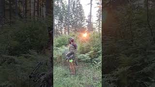 2023 Archery Elk Hunting Oregon hunting elkhunting bowhunting archeryelk oregon pnw outdoors [upl. by Balmuth177]